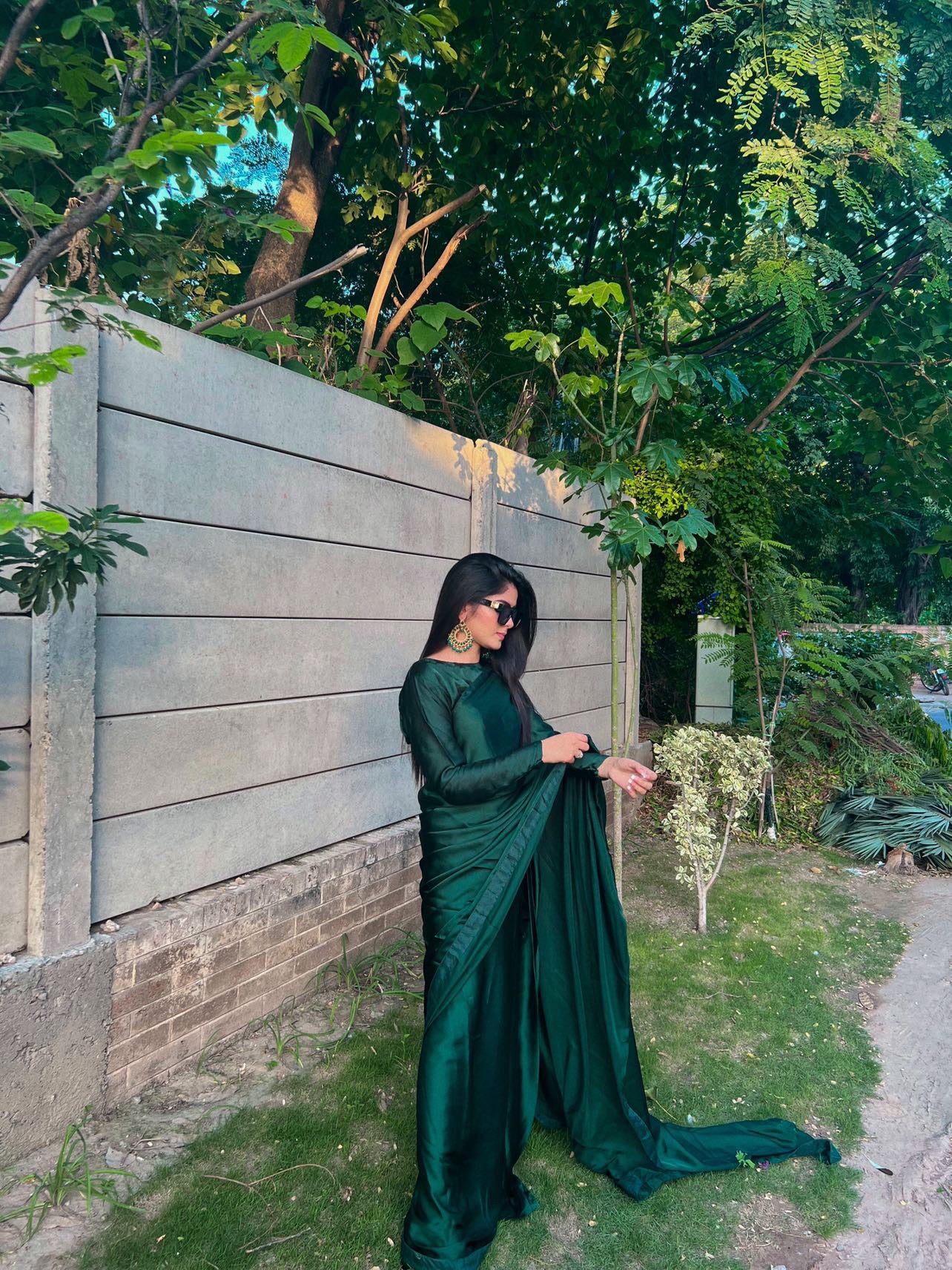 Evergreen majesty
